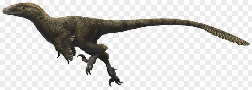 Ostrich Utahraptor Velociraptor Deinonychus Iguanodon Allosaurus PNG