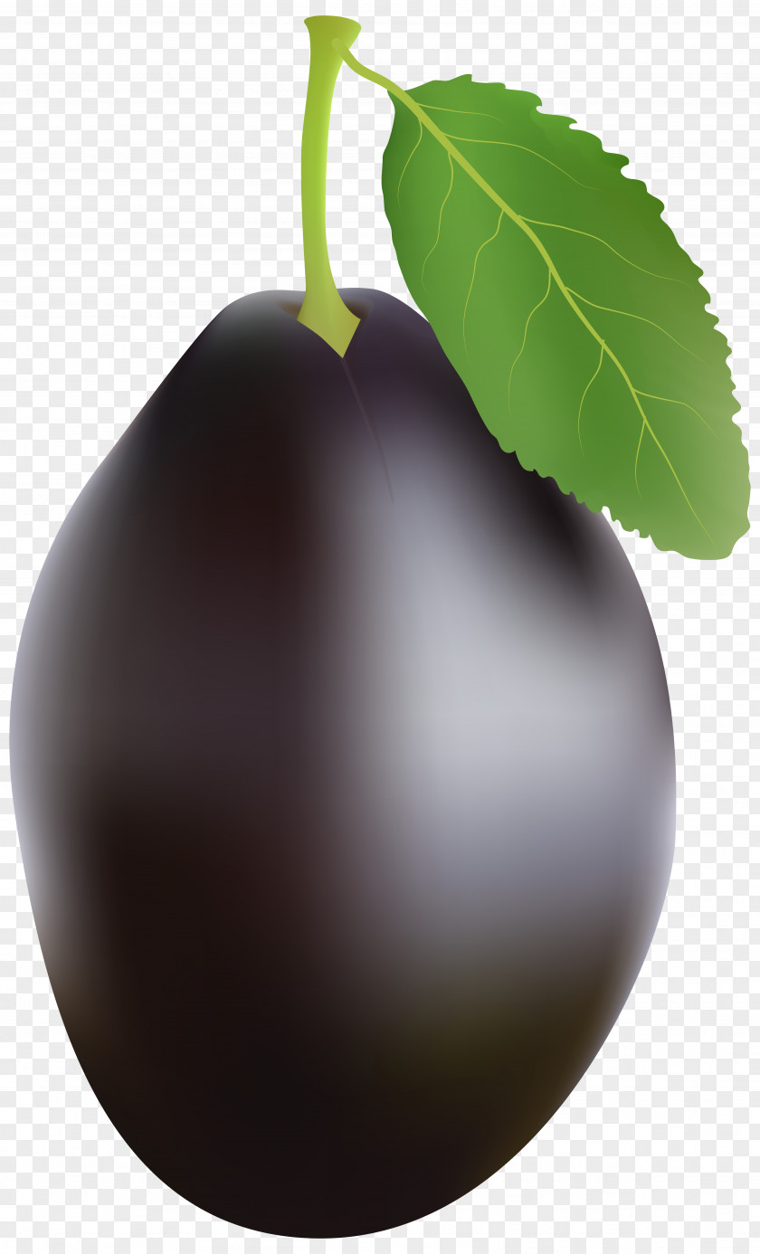 Plum Clip Art PNG