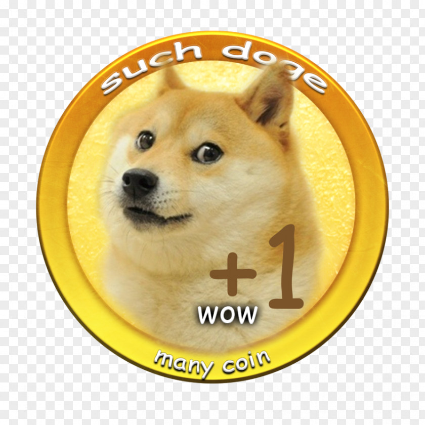 Doge Shiba Inu Dogecoin Puppy Cryptocurrency PNG
