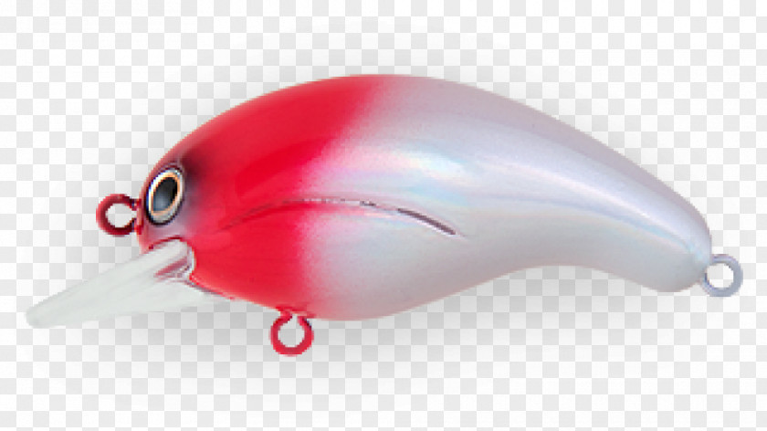 Fish Spoon Lure PNG