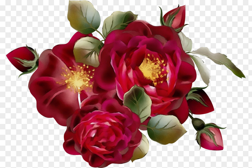 Floral Design PNG