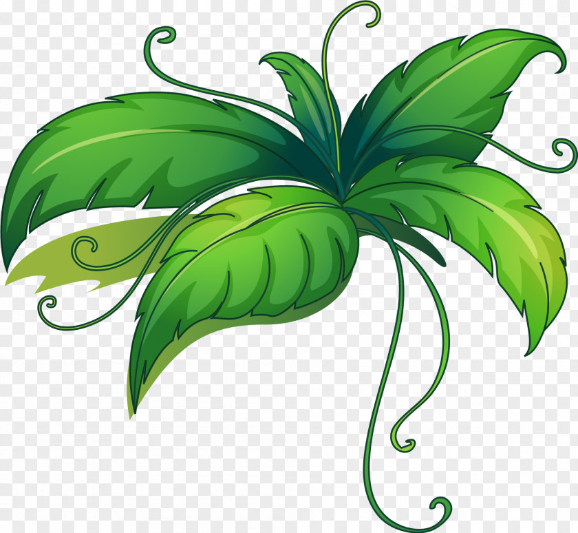 Green And Fresh Grass PNG