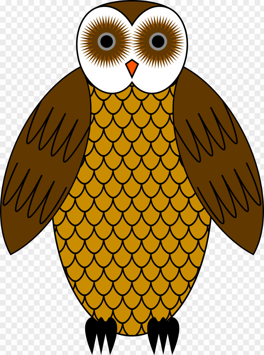 Owl Line Art Clip PNG
