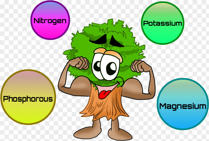 Plant Nutrient Nutrition Clip Art PNG