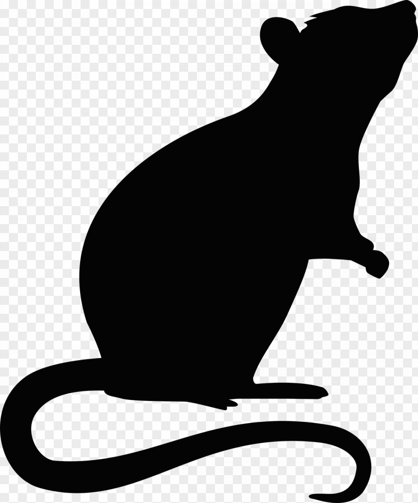 Rat Mouse Rodent PNG