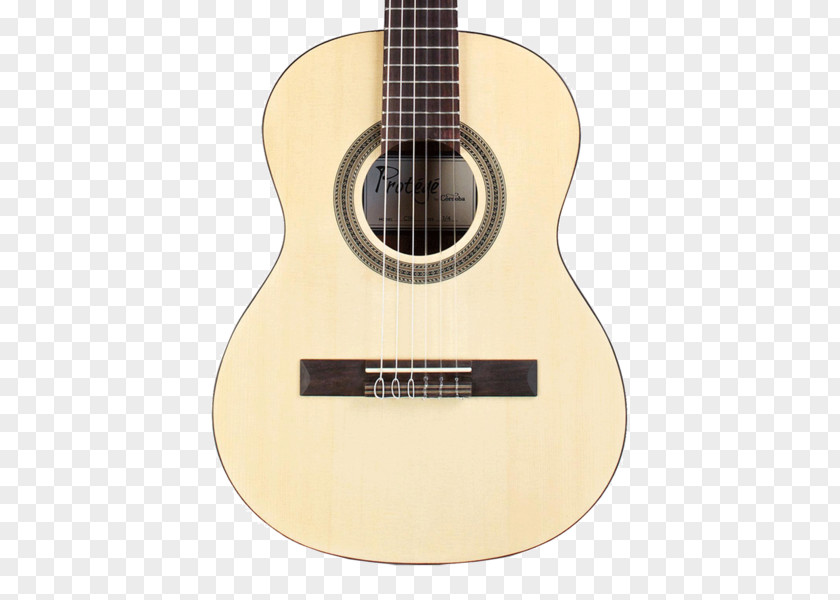 Acoustic Guitar Classical Cordoba GK Studio Acoustic-electric PNG