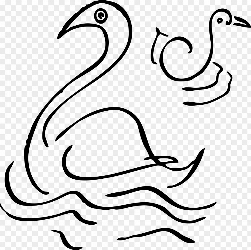 Bird Mute Swan Clip Art PNG