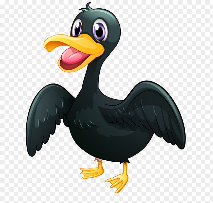 Black Duck American Pekin Bird Platypus PNG