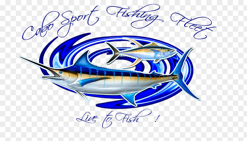 Fishing San José Del Cabo Lucas Charters Sport Fleet Picante Sportfishing PNG