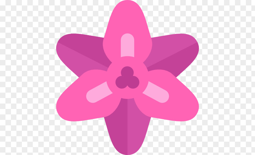 Gladiolus Flower Petal Clip Art PNG