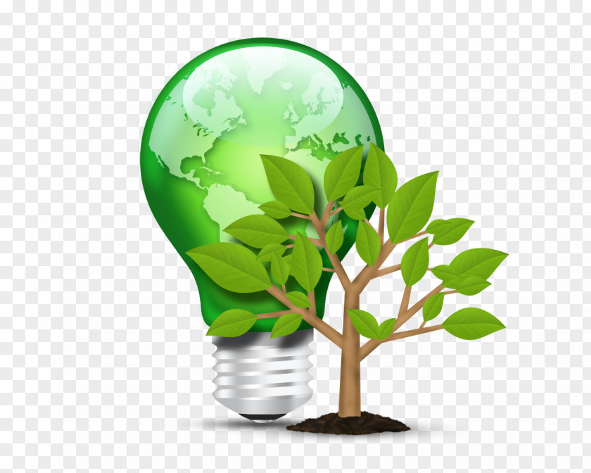 Green Energy Saving Free Downloads Incandescent Light Bulb Lighting LED Lamp Fluorescent PNG