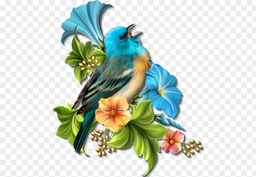 Portulaca Cartoon Clip Art Image Bird Painting PNG