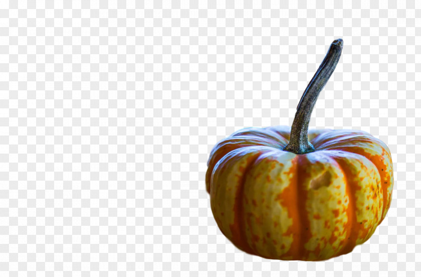 Squash Winter Gourd 0jc Fruit PNG