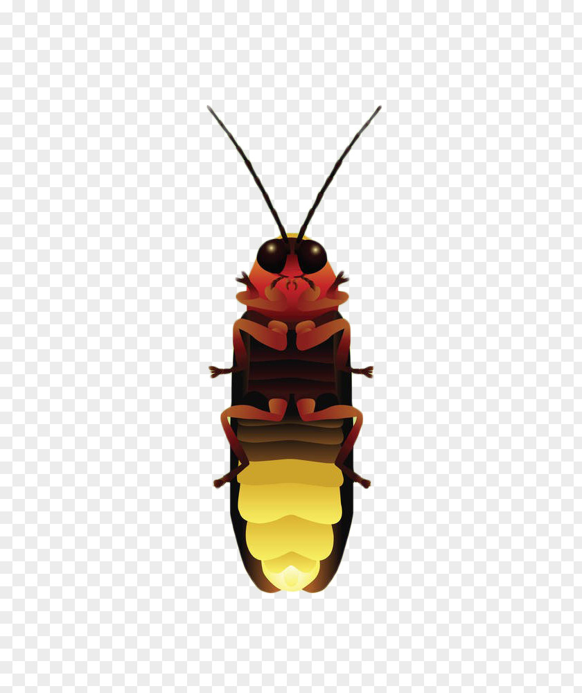 Yellow Firefly Stock Illustration Royalty-free PNG