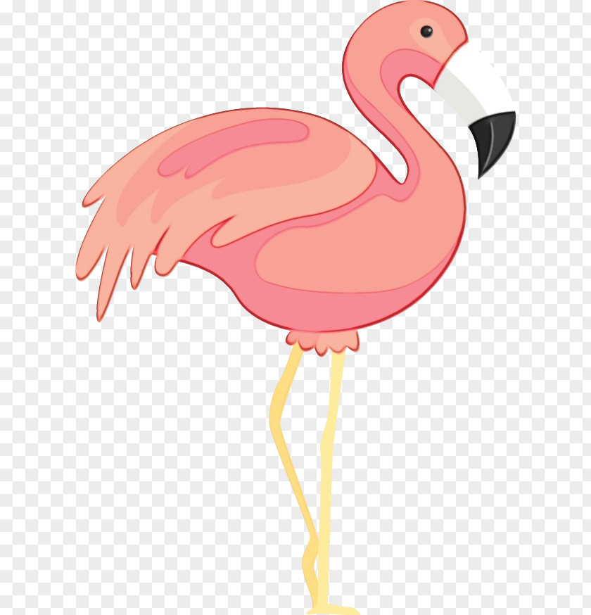 Chicken Flamingo M Beak Pink PNG