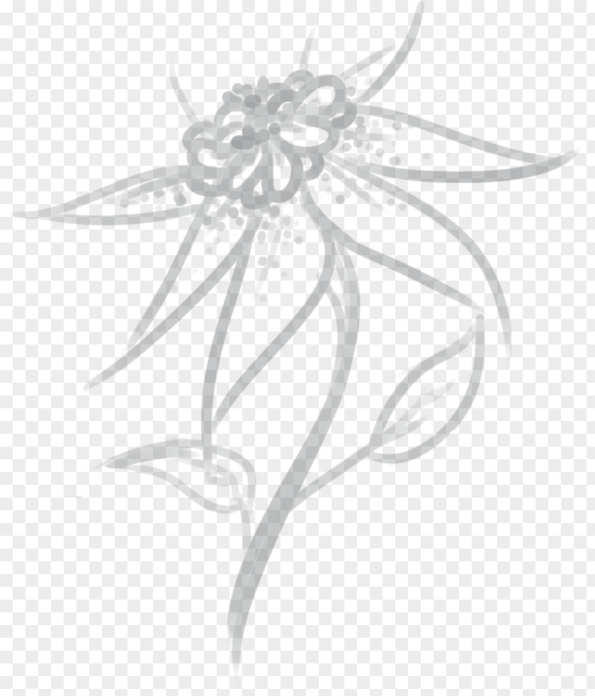 Design Floral Drawing Monochrome PNG