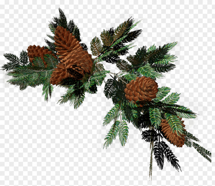 Garland Pine Spruce Conifers Fir Christmas Decoration PNG