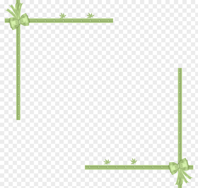 Leaf Frame Green PNG