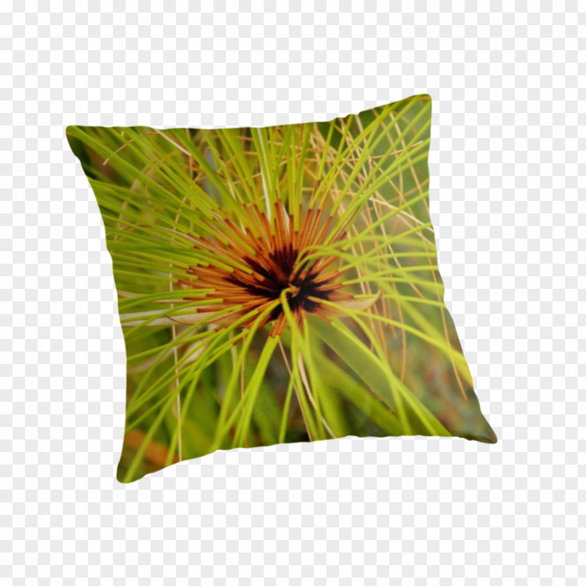 Papyrus Paper Throw Pillows Cushion PNG