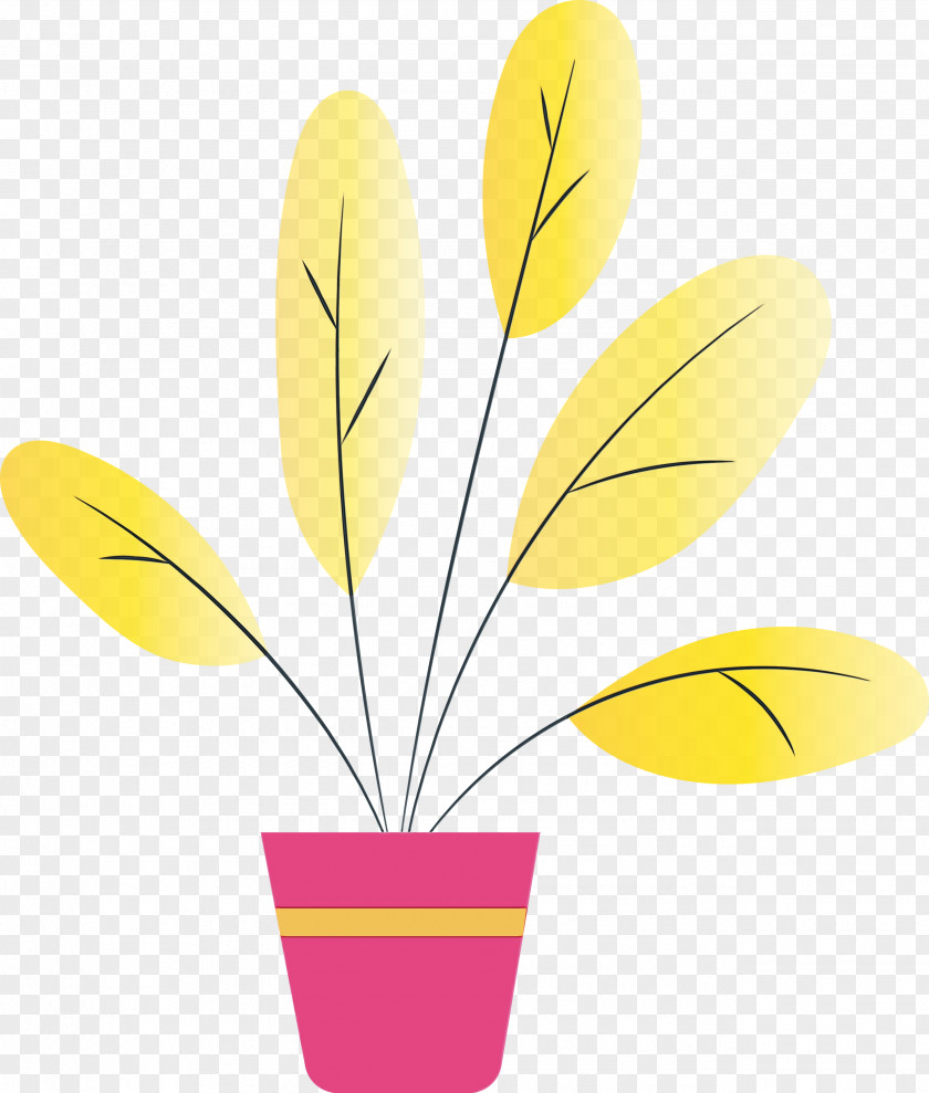 Plant Stem Flower Leaf Yellow Flowerpot PNG