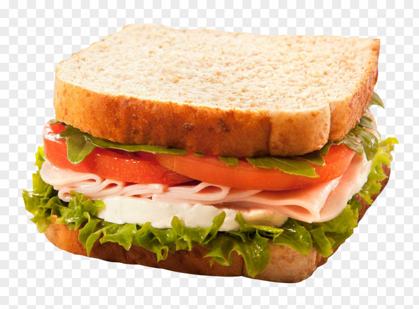 Sandwich Panini Ham And Cheese Italian Dressing Chicken Club PNG