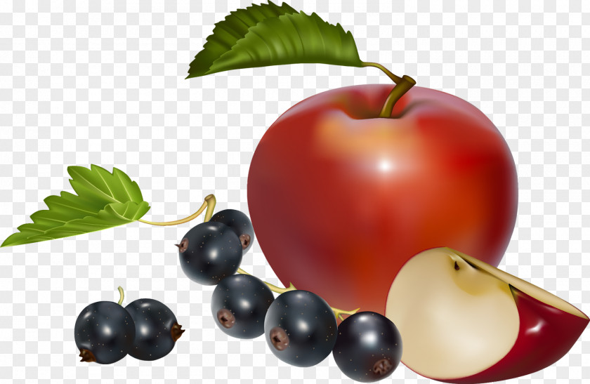 Berries Fruit Apple Download Clip Art PNG