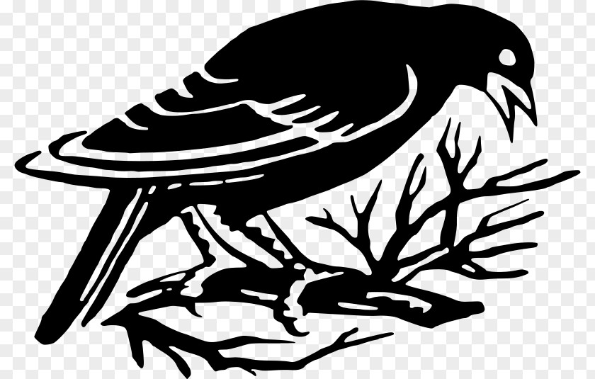 Bird Silhouette Drawing PNG
