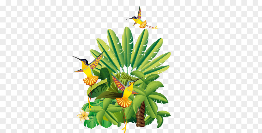 Coconut Tree Floral Design Flowerpot Leaf Fruit PNG