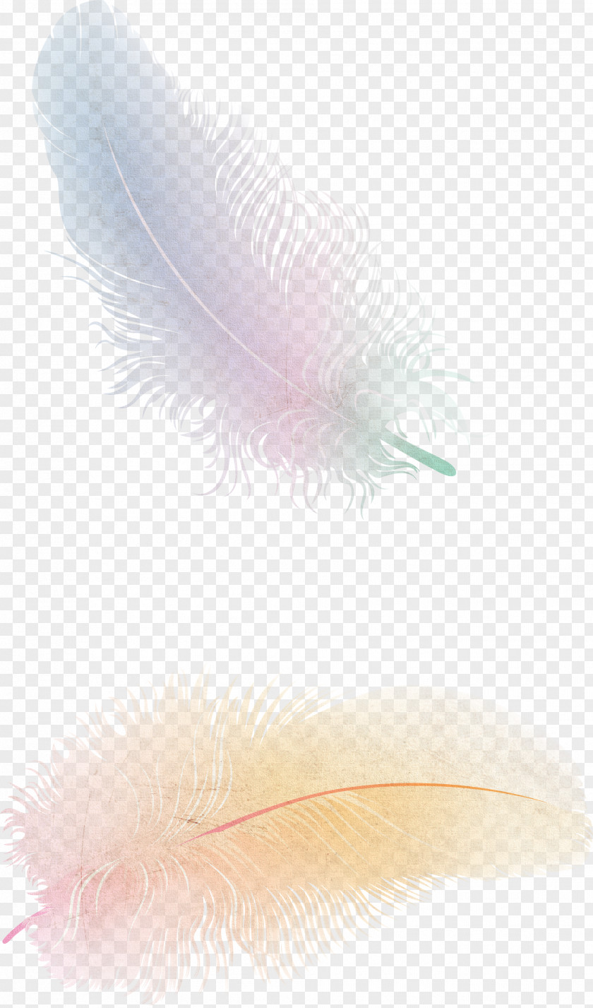 Feather The Floating Flight Bird PNG