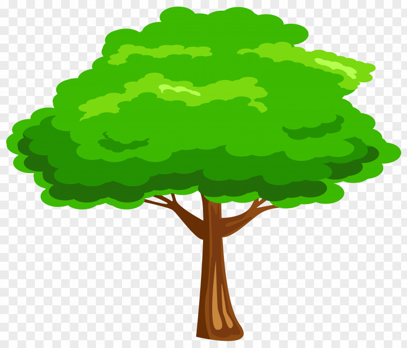 Green Tree Image Clip Art PNG