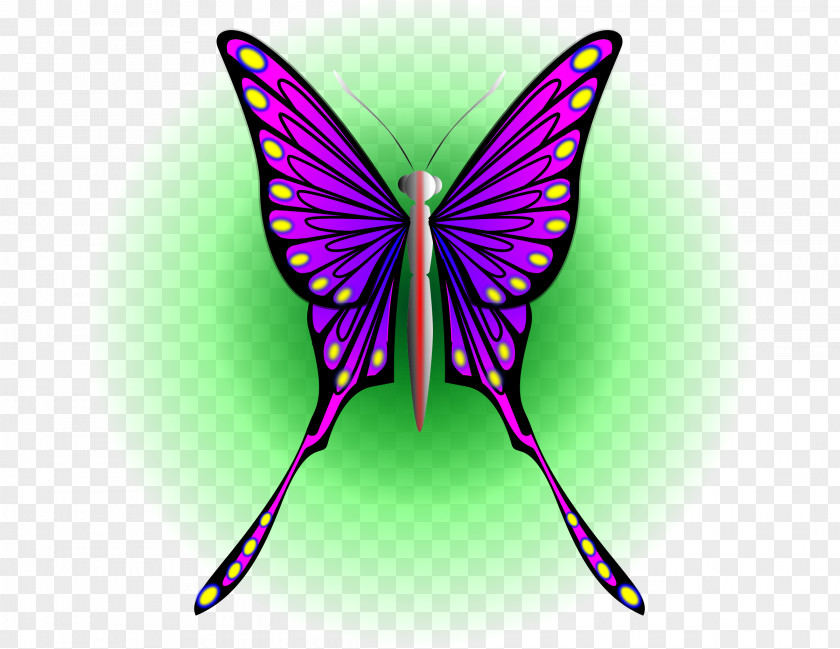 Purple Butterfly Insect Moth Clip Art PNG