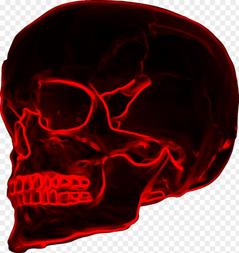 Skulls Clip Art PNG