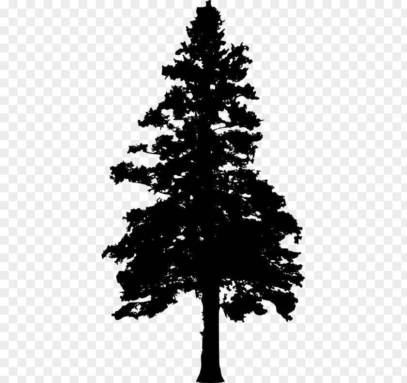 Tree Pine Evergreen Clip Art PNG