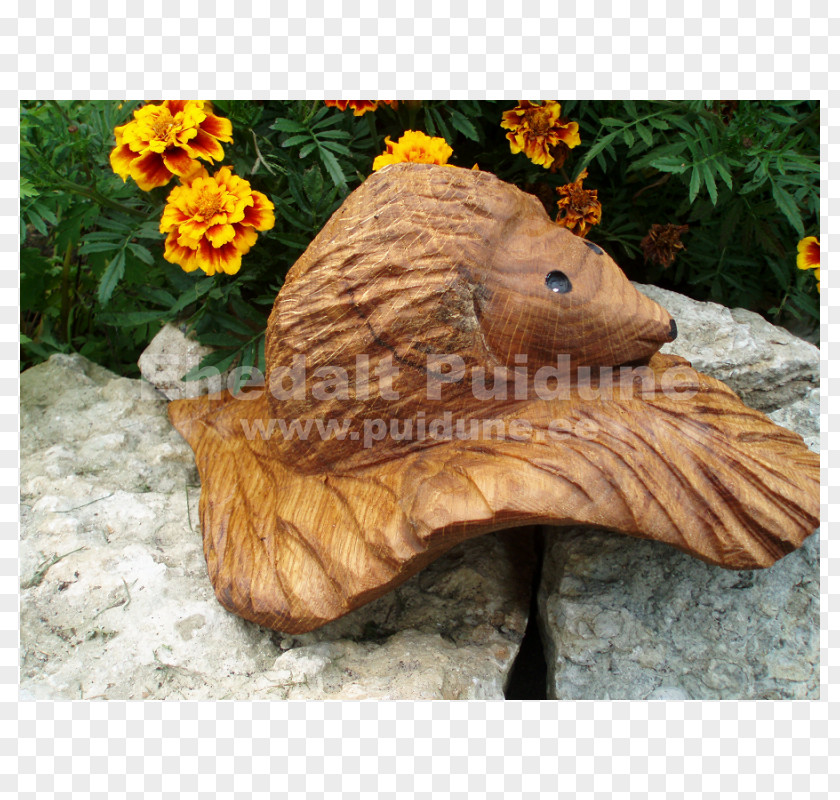 Wood Chainsaw Carving Lawn Ornaments & Garden Sculptures /m/083vt PNG