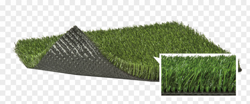 Artificial Turf Baseball Field Athletics Southern California PNG