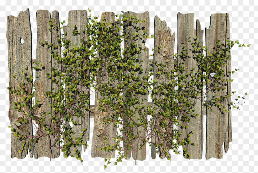 Fence Picket Garden Gate PNG