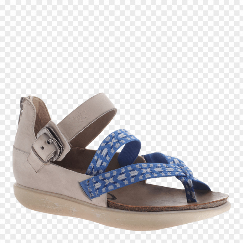Flat Footwear Sandal Shoe Wedge Slide Slingback PNG