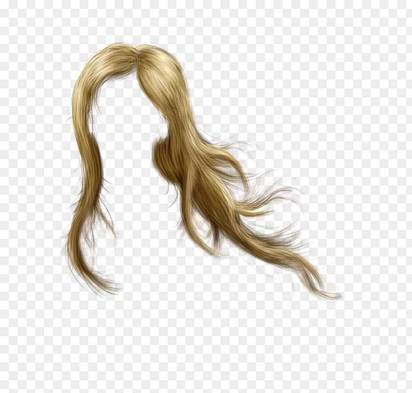 Hair Blond Wig Coloring PNG