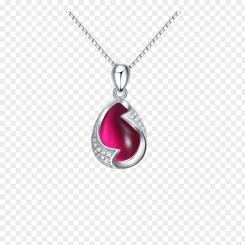 Jewelry Necklace Locket Jewellery Bracelet PNG