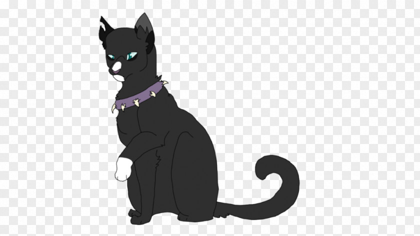 Kitten Black Cat Whiskers Dog PNG