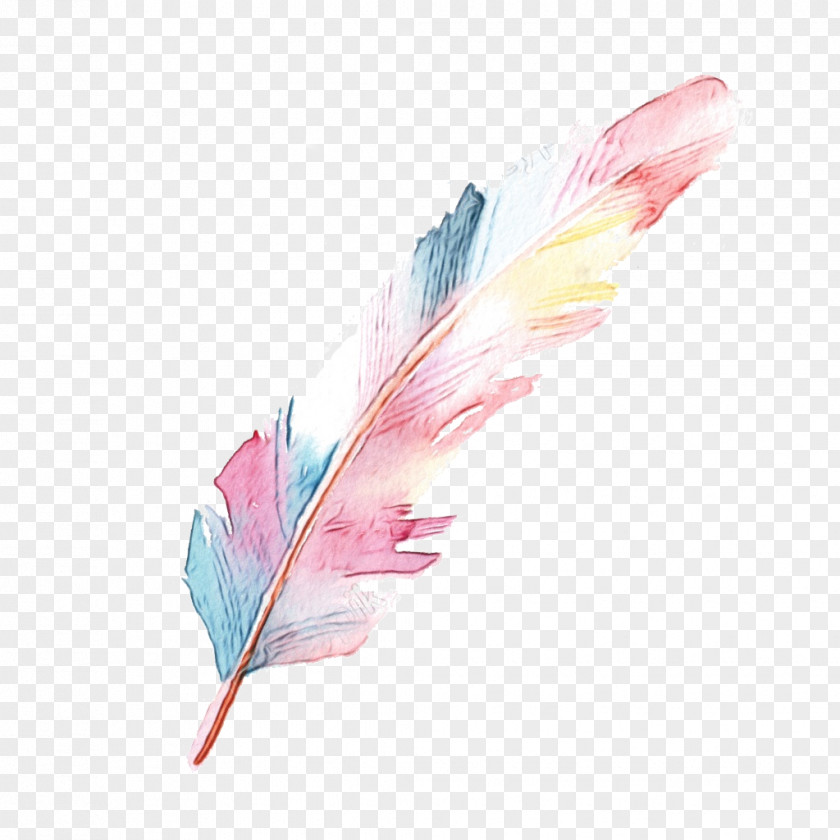 Pen Wing Autumn Drawing PNG