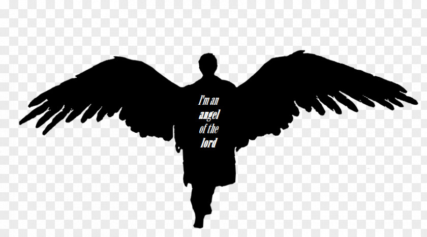 Angel Castiel Dean Winchester Sam Crowley PNG