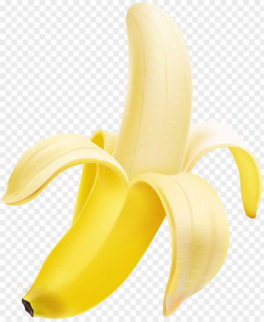 Banana Flour PNG