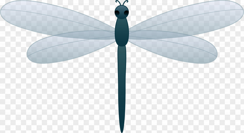 Dragonfly Cliparts Butterfly Energy PNG