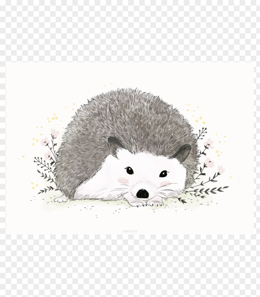 Hedgehog Domesticated European Porcupine Painting PNG