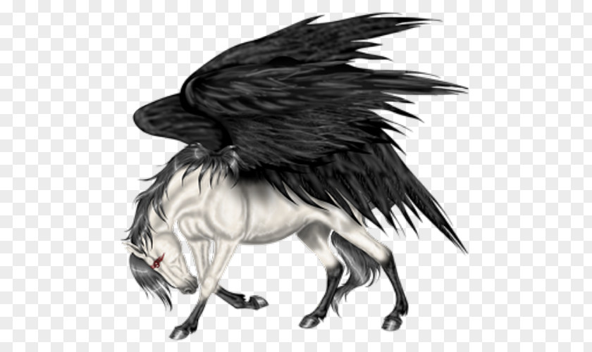 Pegasus Flying Horses Howrse Wing PNG