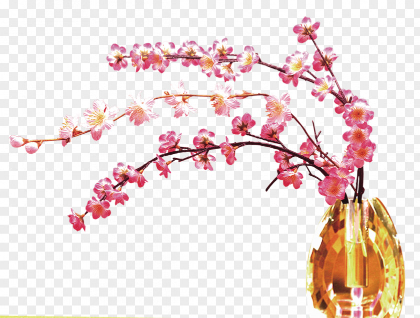 Plum Flower Pink Clip Art PNG