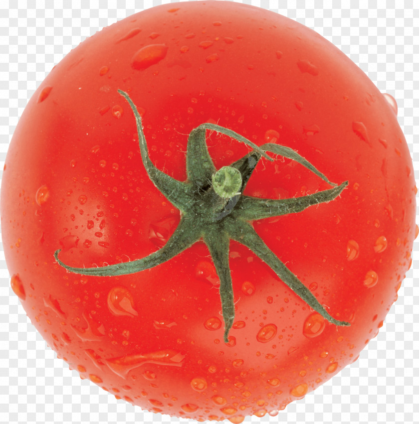 Tomato Image Plum IPhone 6 Bush Food PNG