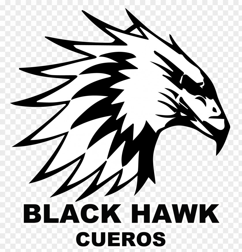 Black Hawk Logo Graphic Design Beak Bird PNG