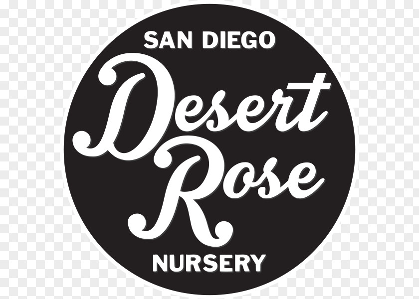 Desert Rose Essay Avó Rosa Guesthouse Middle Passage Speech Green Carpet Growing PNG